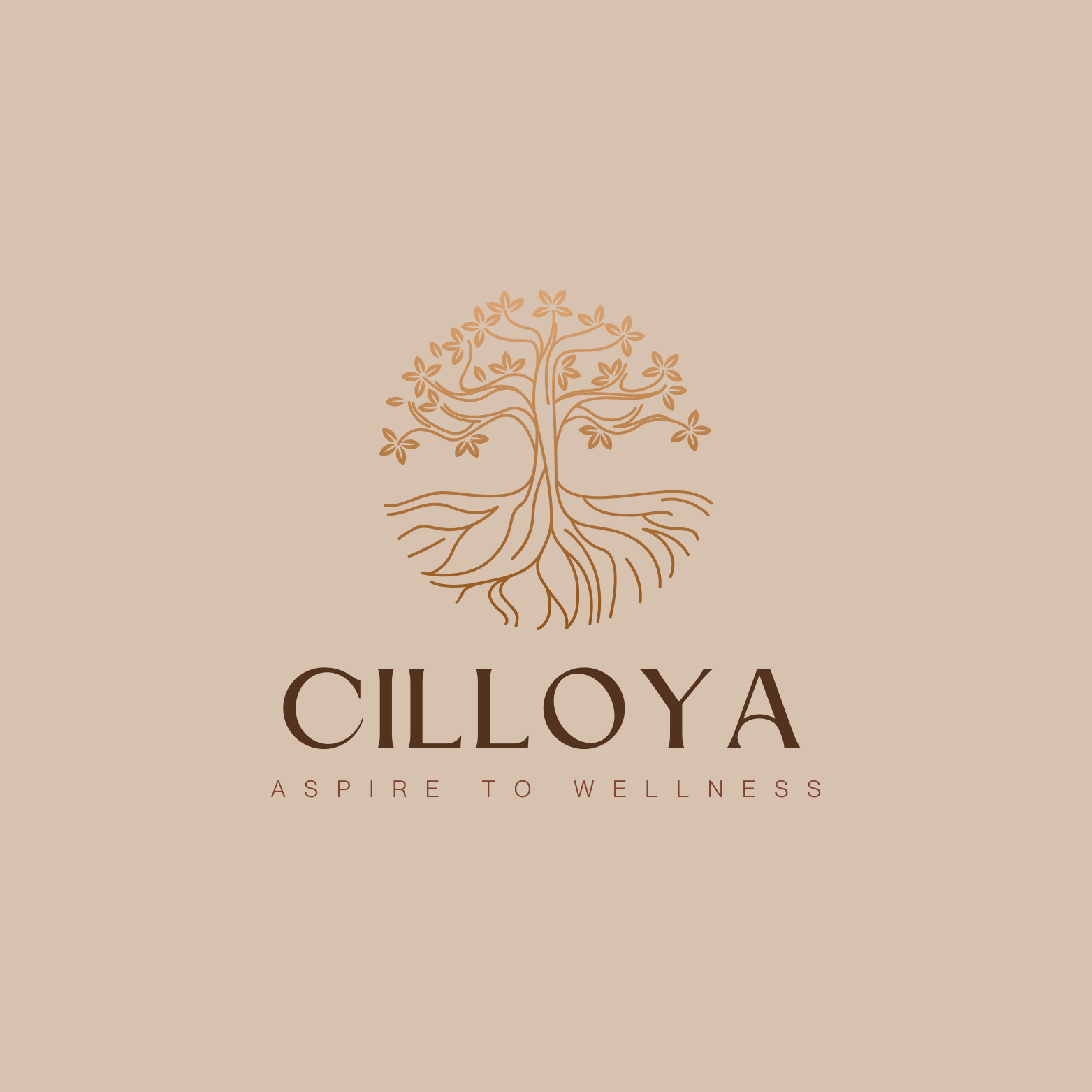 https://cilloya.com/cdn/shop/files/new_Cilloya_logo_design.png?v=1675273525